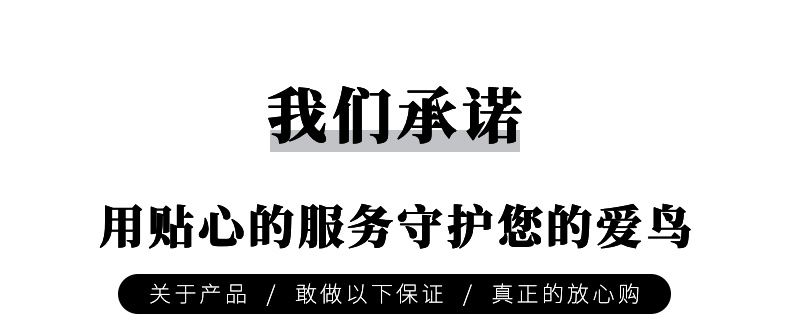 1（翻译）.png
